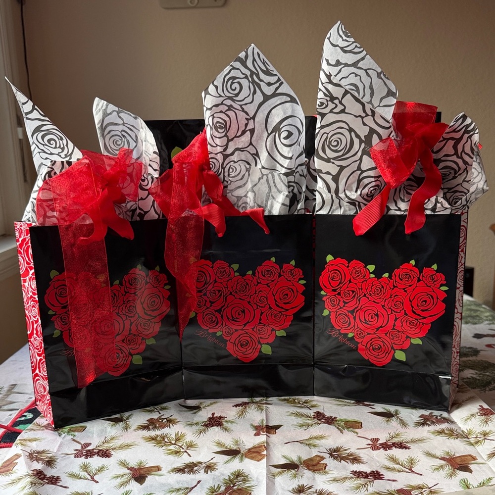 🌹🌹🌹 BRIGHTON MYSTERY BAGS 🌹🌹🌹 NWT 🌹🌹🌹